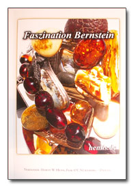 Fasination Bernstein Das Buch