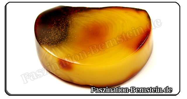 Harzfluss - Bernstein Harzfluss - Bernstein